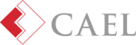 Council for Adult and Experiential Learning